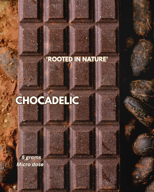 🍫 NEURO SUPPORT CHOCOLATE BARS