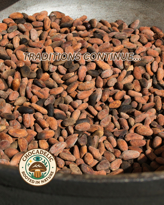🌱 TRADITIONAL SUN-DRIED CACAO BEANS