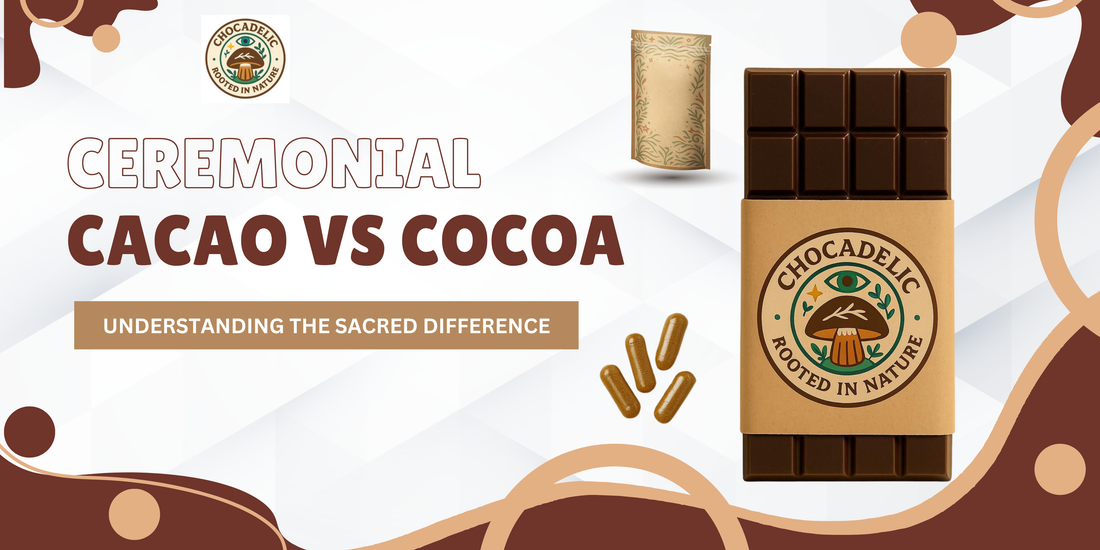 Ceremonial Cacao vs Cocoa: Understanding the Sacred Difference