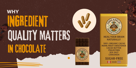Why Ingredient Quality Matters in Chocolate?
