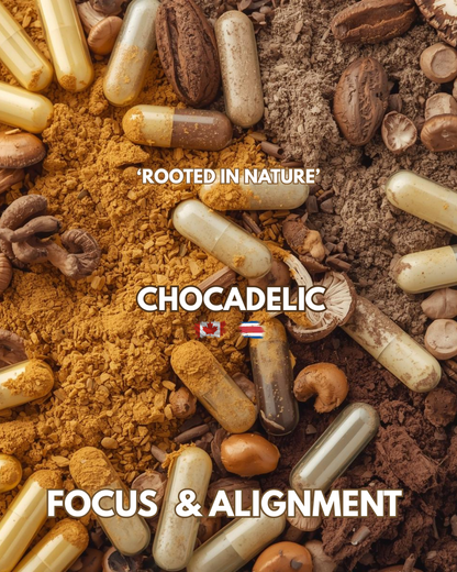 FOCUS & ALIGNMENT - Neuro support capsules