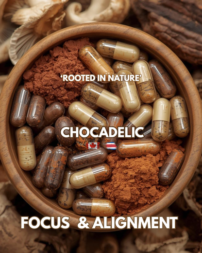 FOCUS & ALIGNMENT - Neuro support capsules