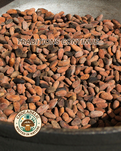 🌱 TRADITIONAL SUN-DRIED CACAO BEANS