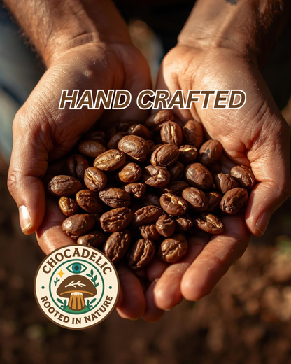 🌱 TRADITIONAL SUN-DRIED CACAO BEANS